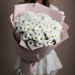 Преимущества хризантем и полезные советы по составлению букета из них