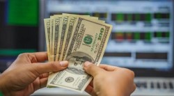 Что нужно знать об инвестиционной программе HYIP: ее особенности 